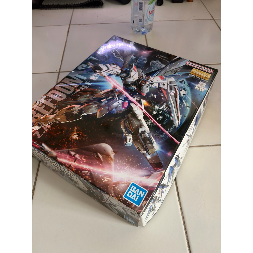 MG Freedom Gundam