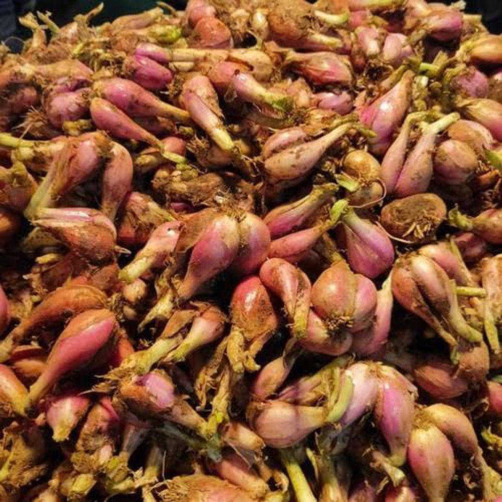 Bawang Merah Sumenep Mentah 1kg - Aroma Harum, Renyah, Manis