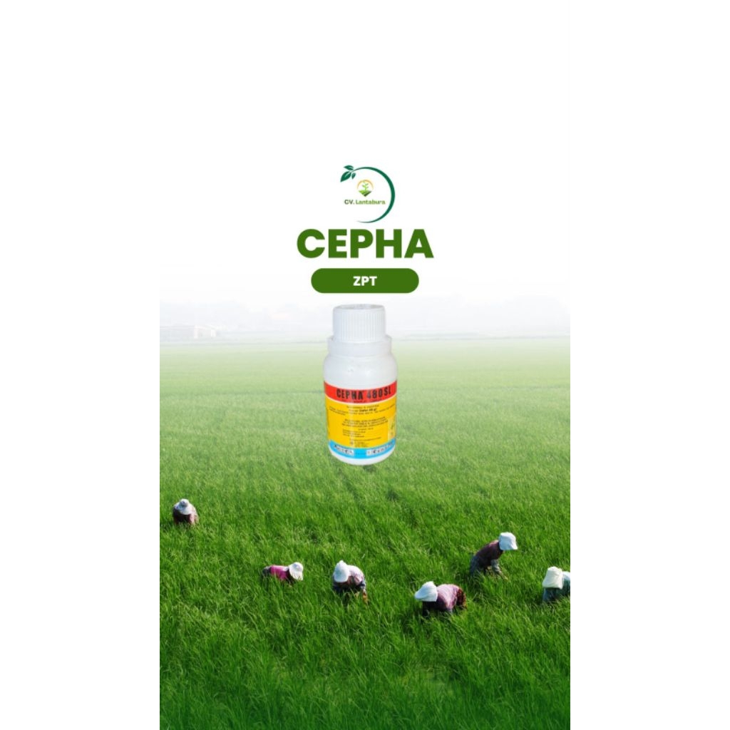 CEPHA 480 SL