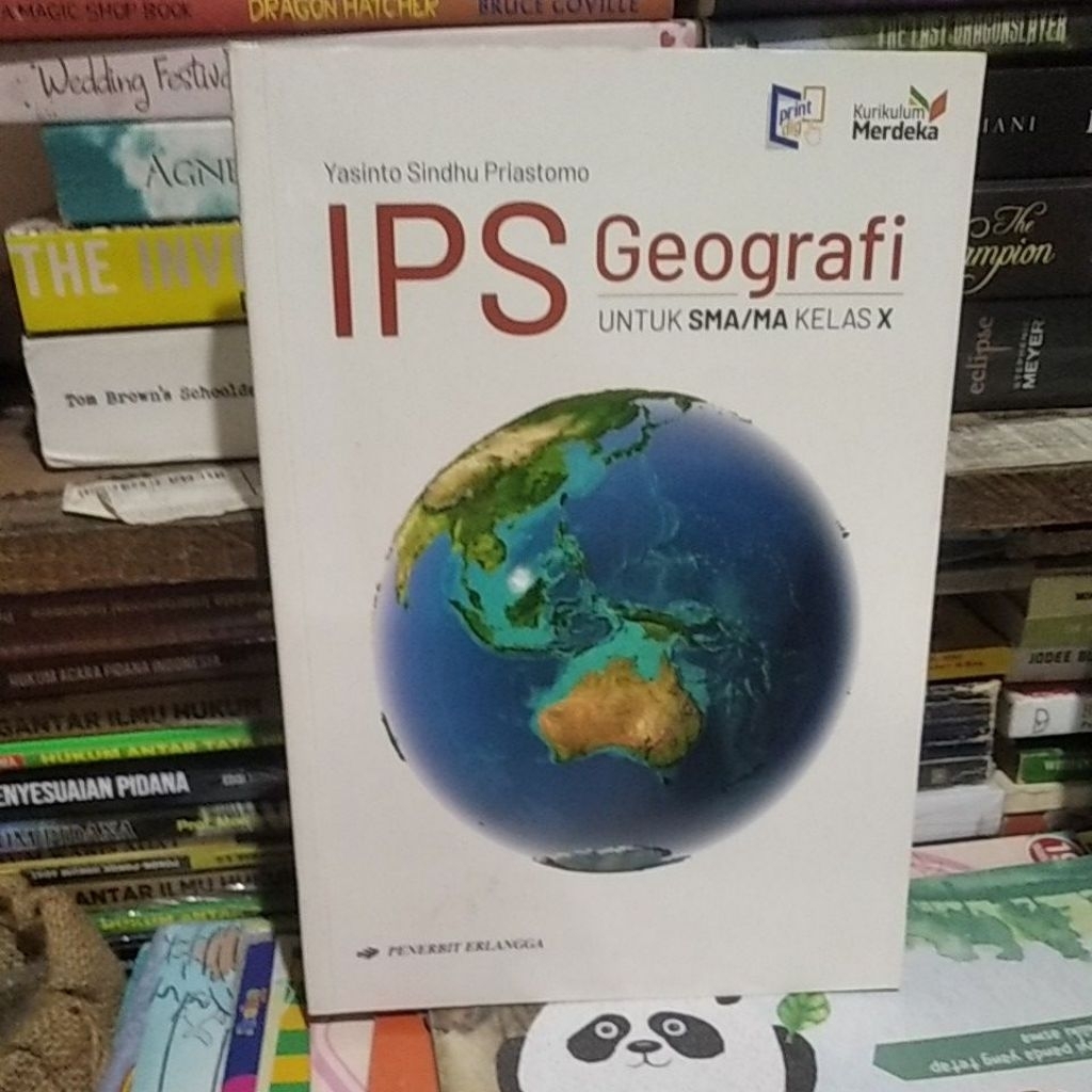 IPS geografi 10