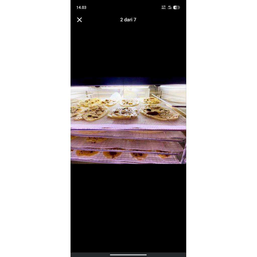 dehydrator papalolo 6 tray
