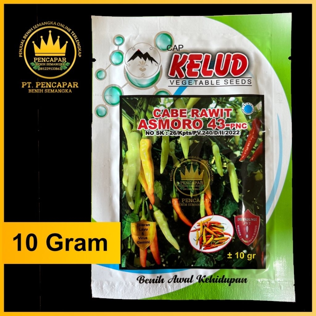 CABE RAWIT ASMORO | 10 GRAM
