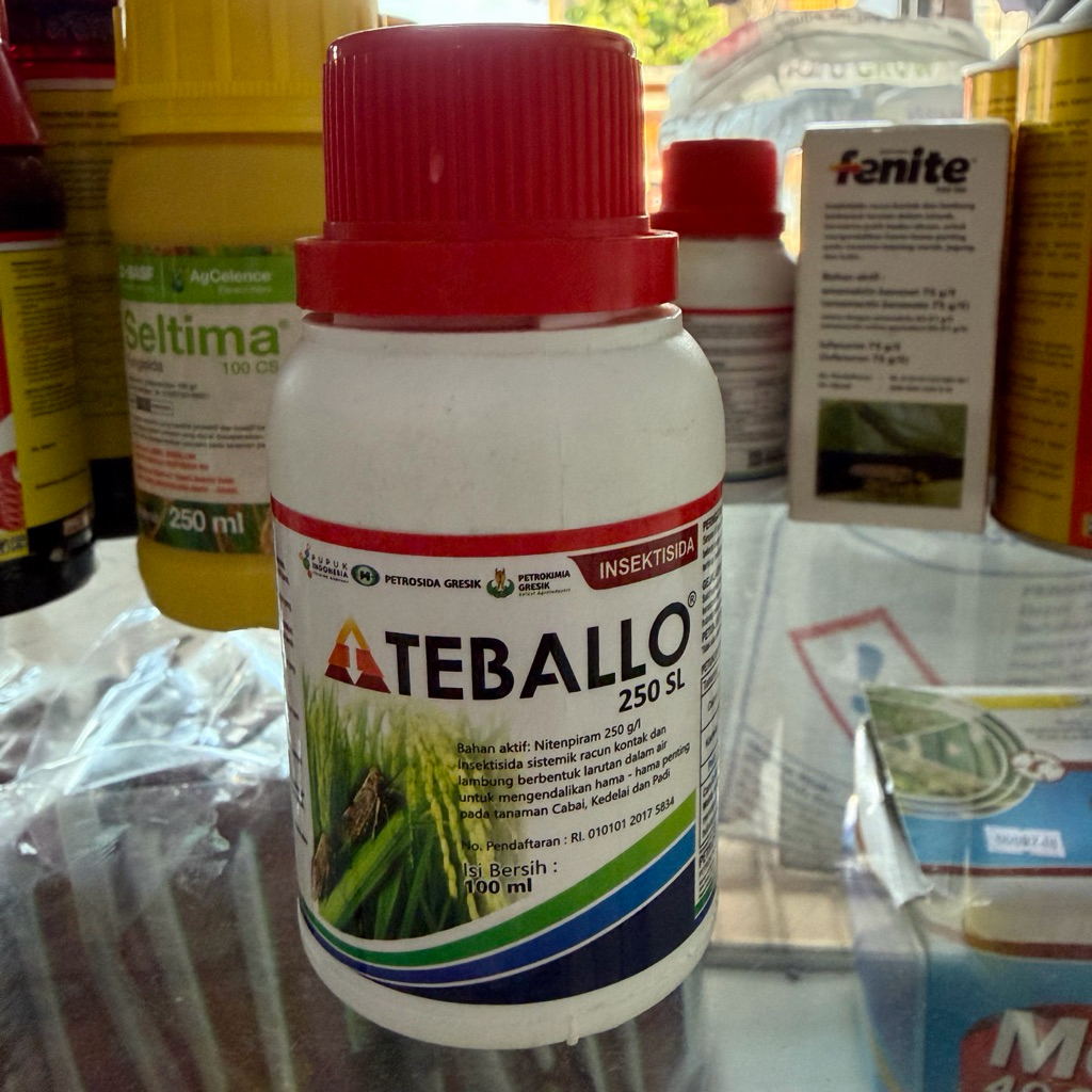 TEBALLO 250 SL