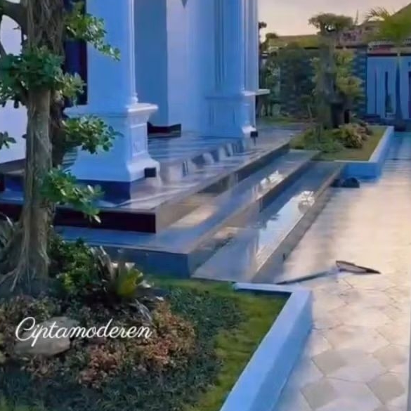 Taman minimalis modern - sentuhan tropis Randu Variegata (BERGARANSI)