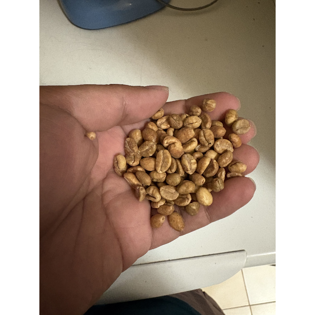 Green Bean Excelsa GRADE 1 Lawu NATURAL 1KG