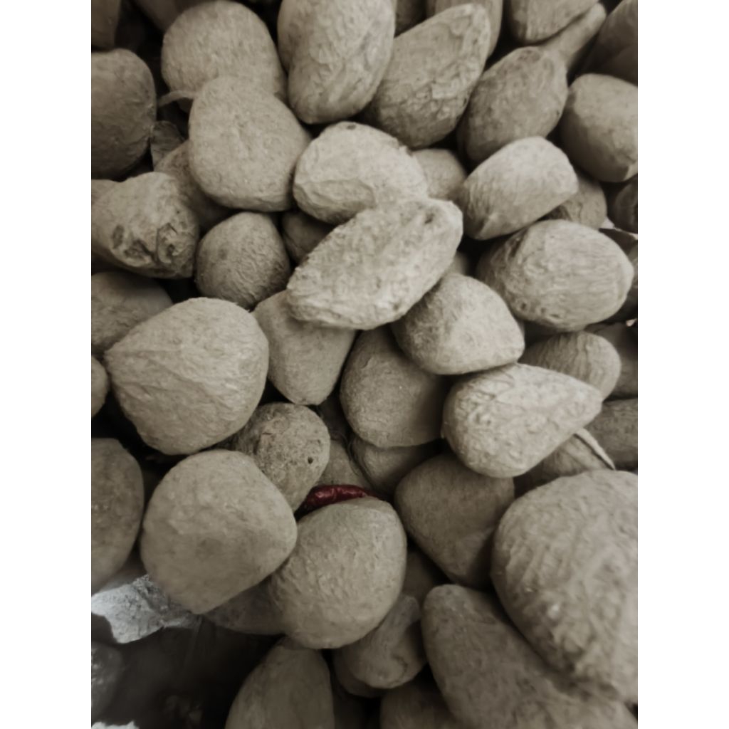kluwek berat 1kg