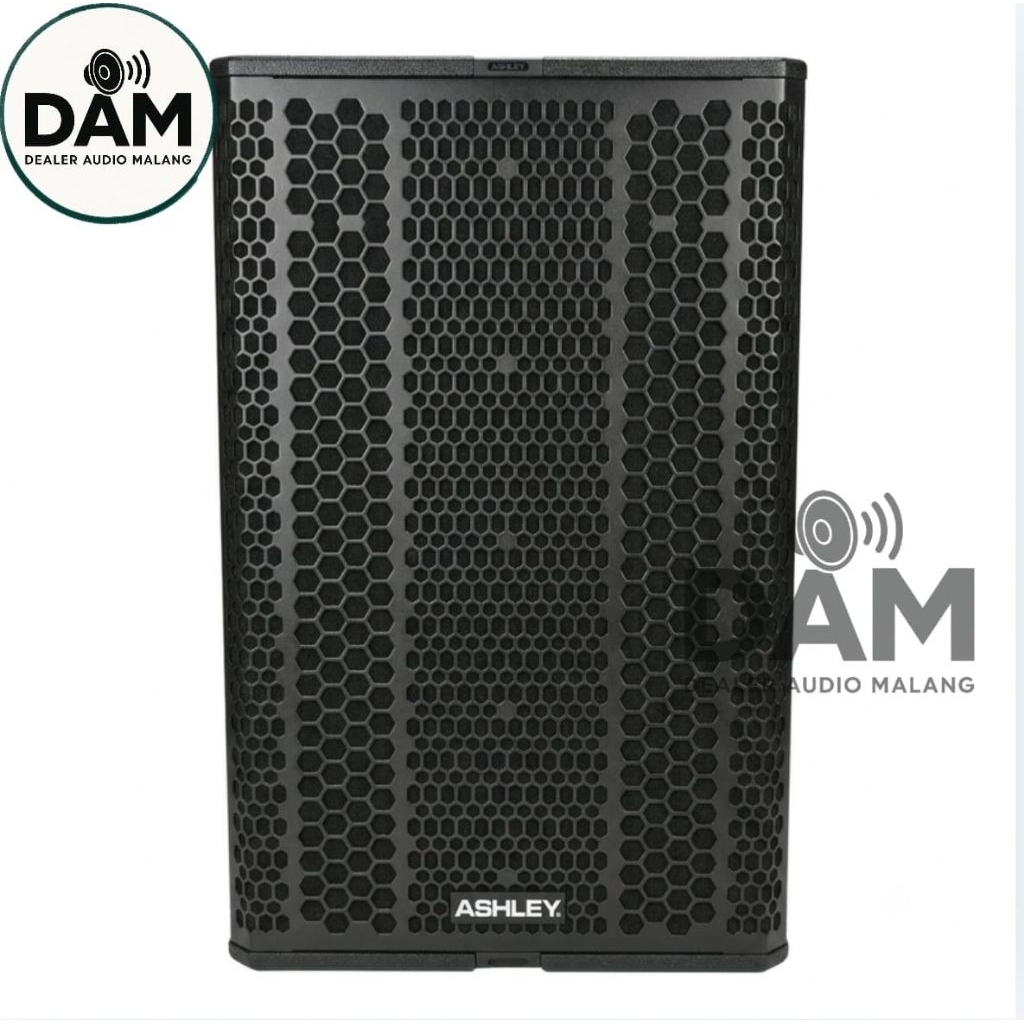 Speaker Pasif Ashley T24 Fs T 24 Fs T24Fs Original Ashley
