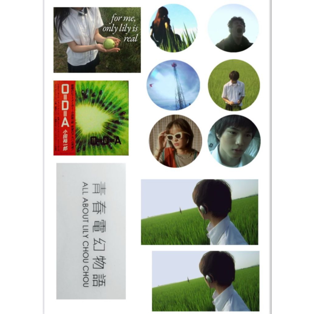 all about lily Chou chou sticker