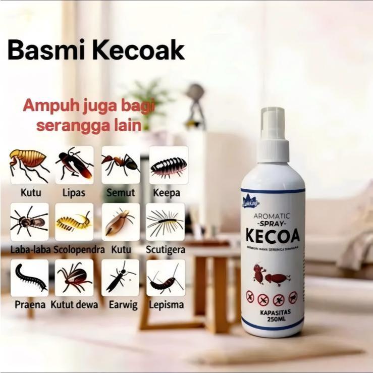 Obat Basmi Kecoa Ampuh Semprot Rumah