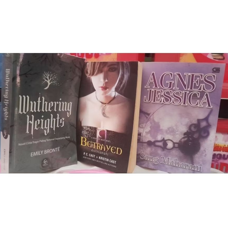 Buku Novel Terjemahan Preloved Best Seller