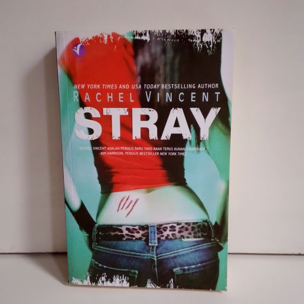 Novel Stray novel urban fantasy