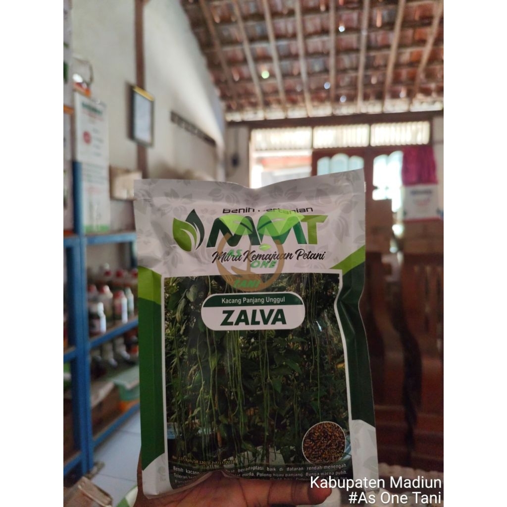 Benih Kacang Panjang Zalva 500 Grm Unggul