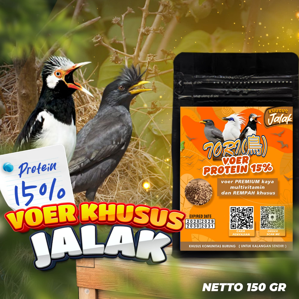 MAKANAN BURUNG JALAK | VOER BURUNG JALAK | VOER HARIAN | VOER NUTRISI KOMPLIT | VOER JALAK PROTEIN 1