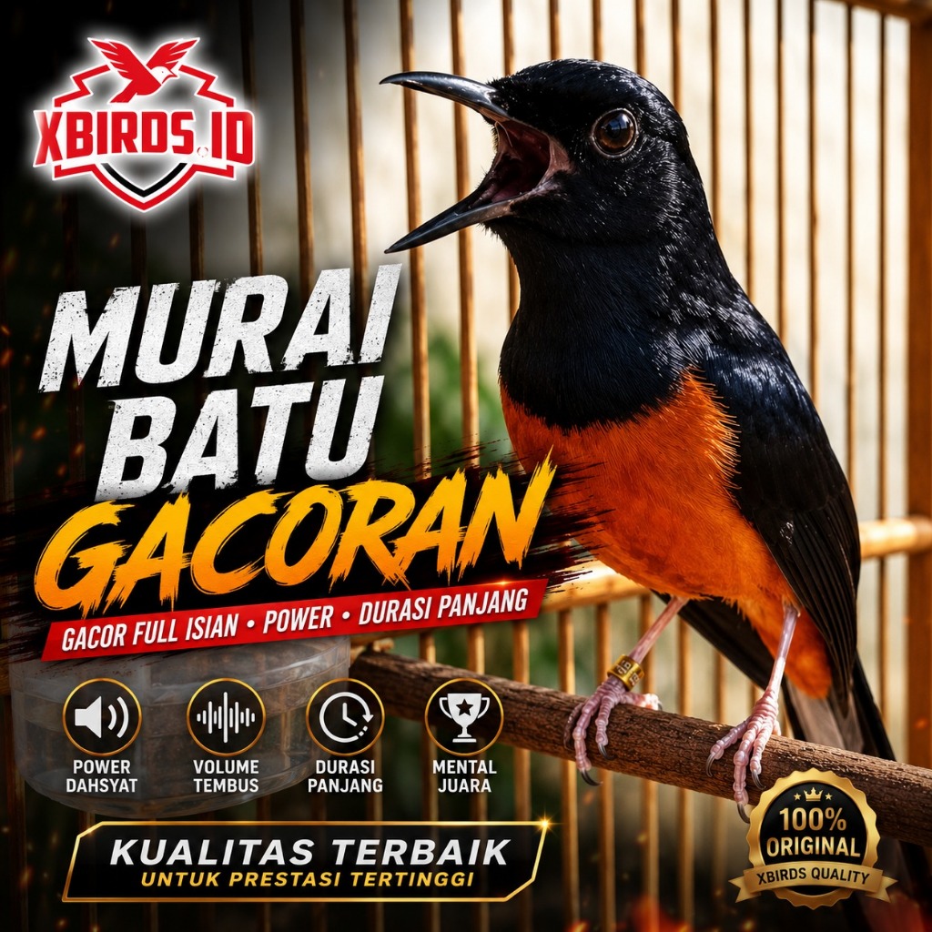 MURAI BATU MEDAN GACOR DOR SIAP GANTANG FULLSET