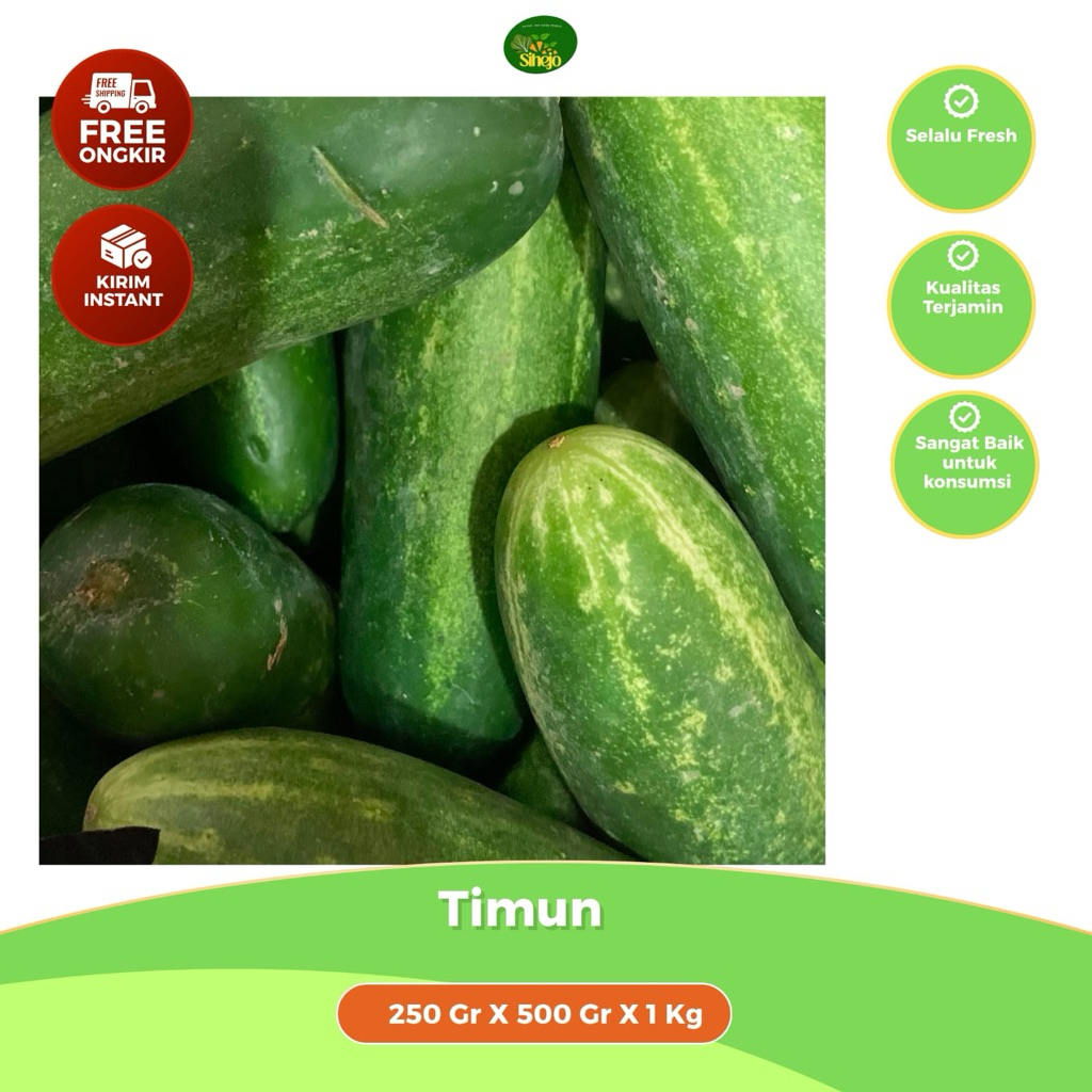 Timun / Bonteng Segar