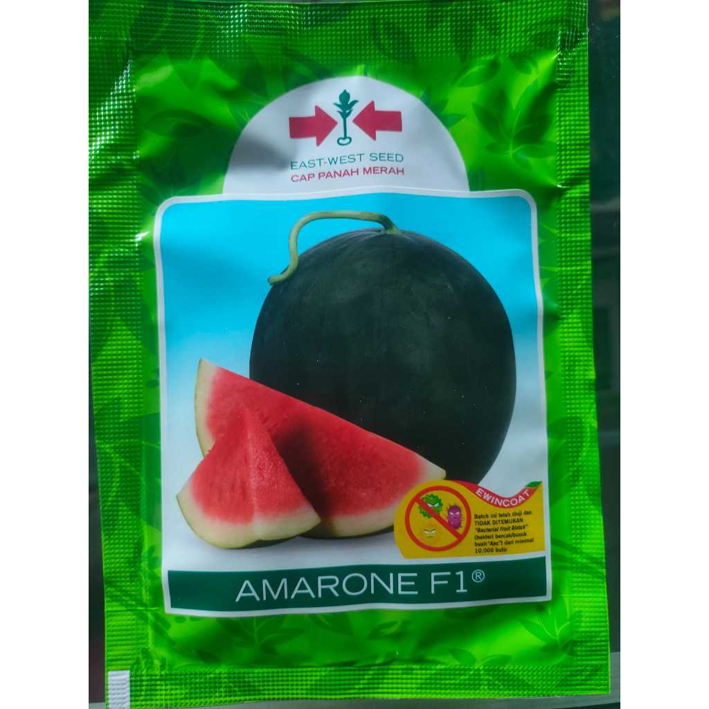 Benih semangka Amarone dr Pt panah merah