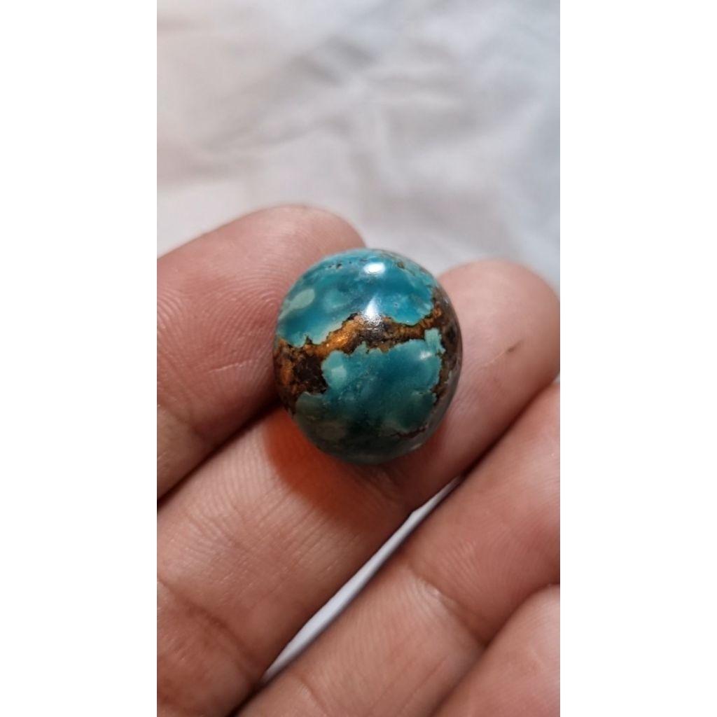 natural pirus persia kendit