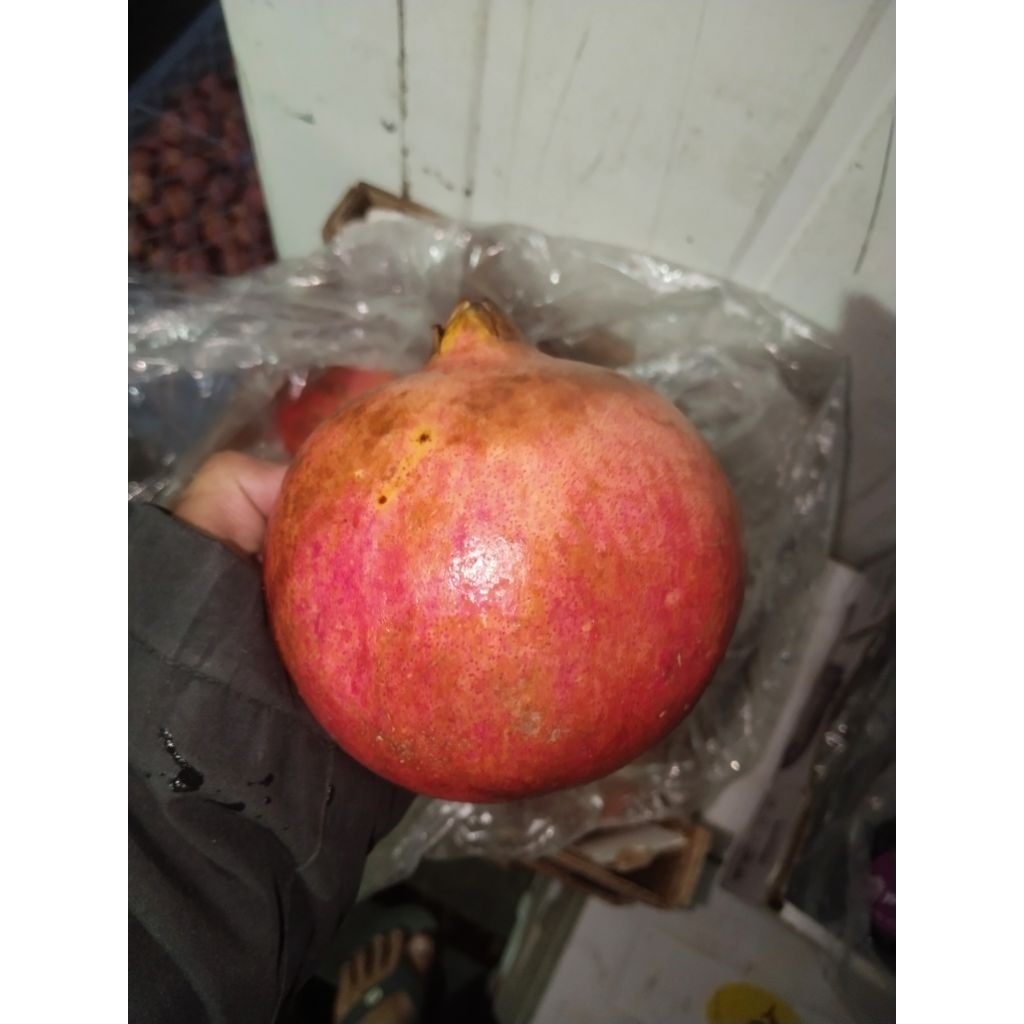 [PREMIUM] BUAH DELIMA MERAH MESIR POMEGRANATE JUMBO 500GR