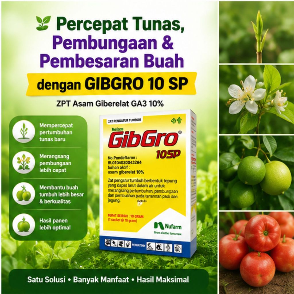 Zat Pengatur Tumbuh Gibro 10 SP Asam Giberelat GA3