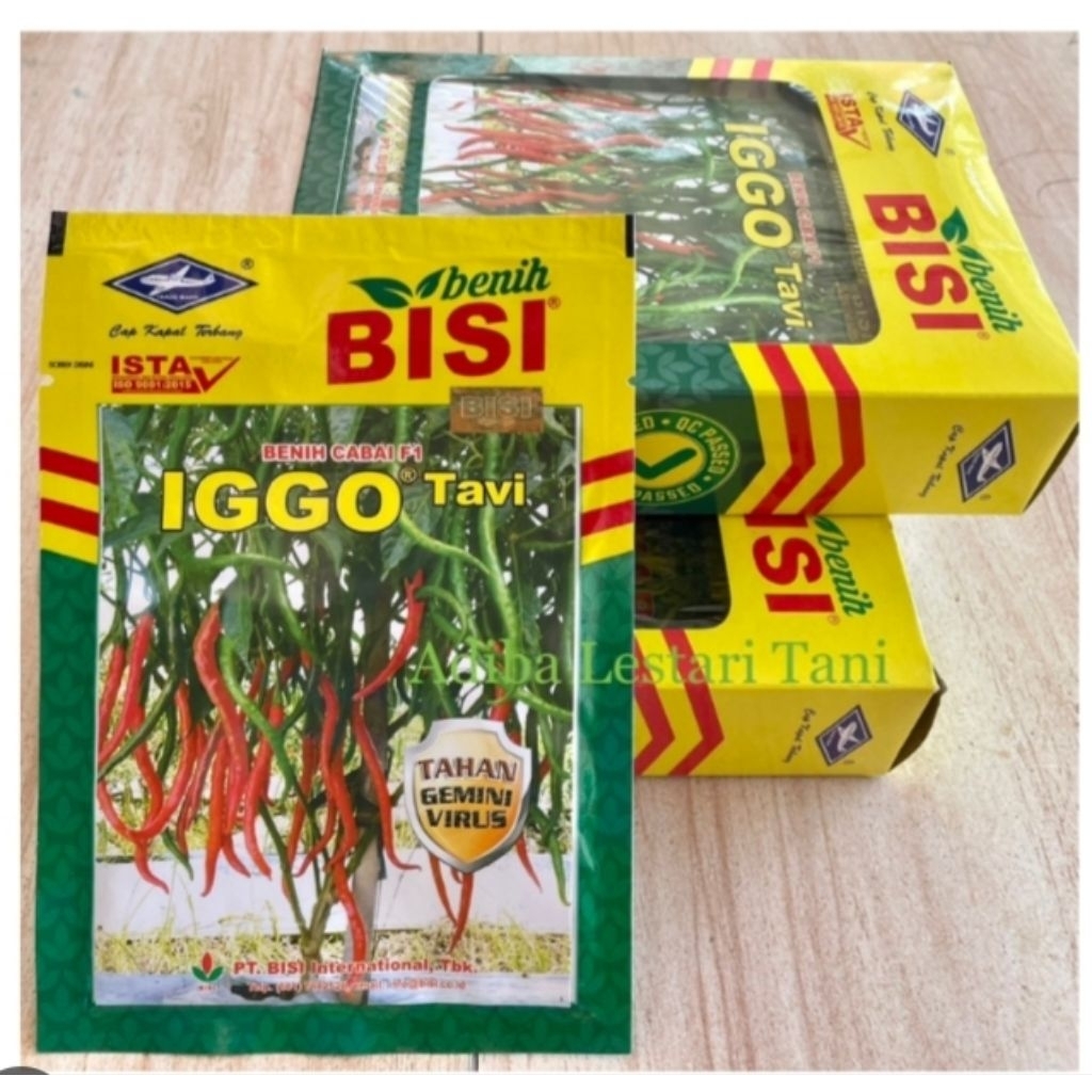Cabe iggo tavi f1 cabe keriting berkualitas tahan virus