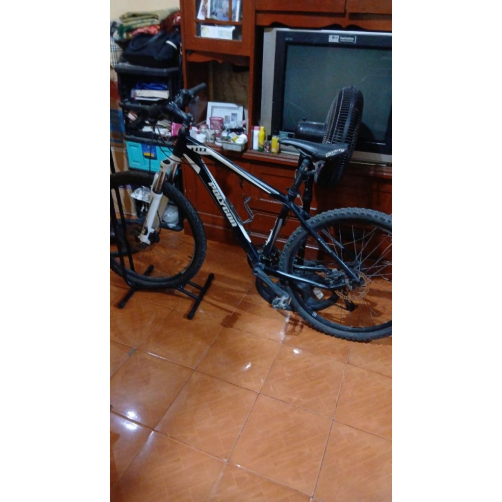 Sepeda gunung Polygon  xtrada 4
