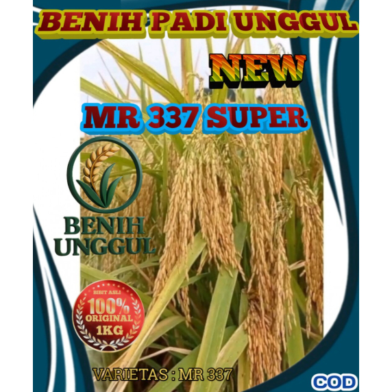 Benih Padi Unggul MR 337 Super 100% Original 1Kg Varietas MR 337
