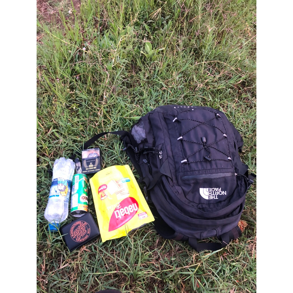 backpack tnf borealis