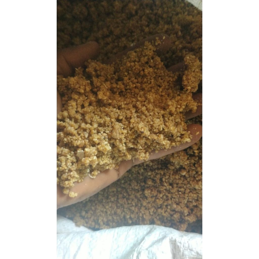 tiwul khas Blitar 500gr | pengganti nasi diet diabetes glutten free