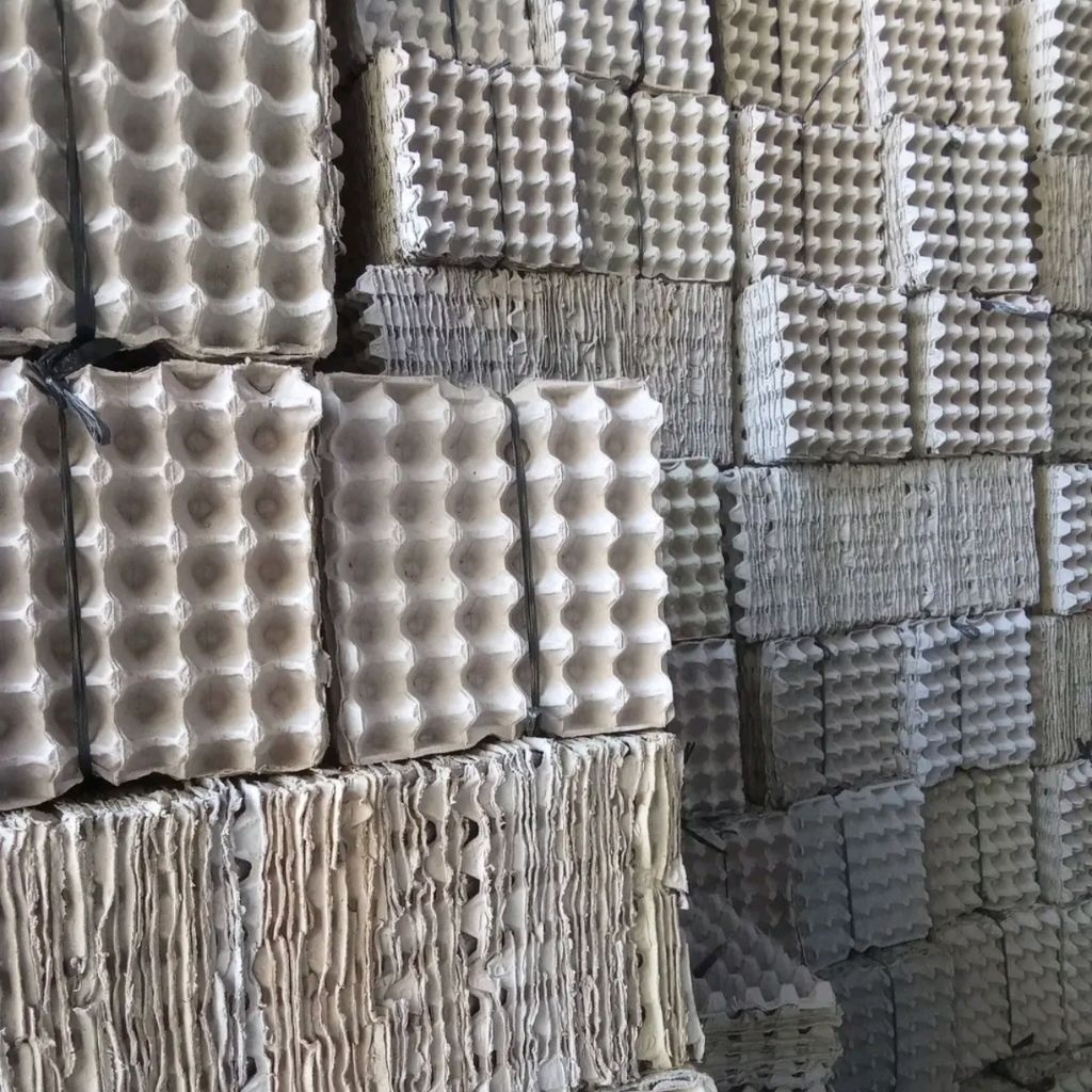 egg tray / tempat telur / tray telur / wadah telur / egg tray telur bekas