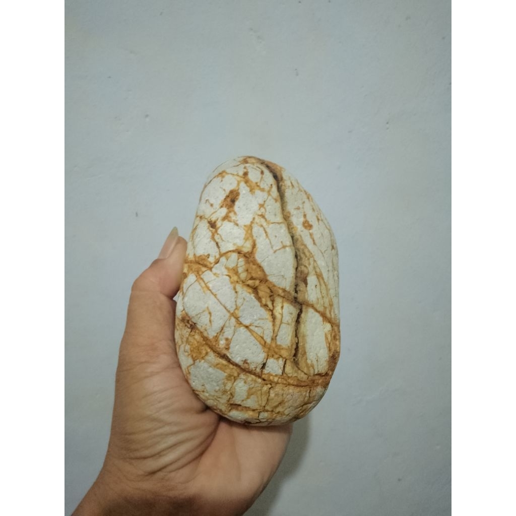 batu meteorit langka