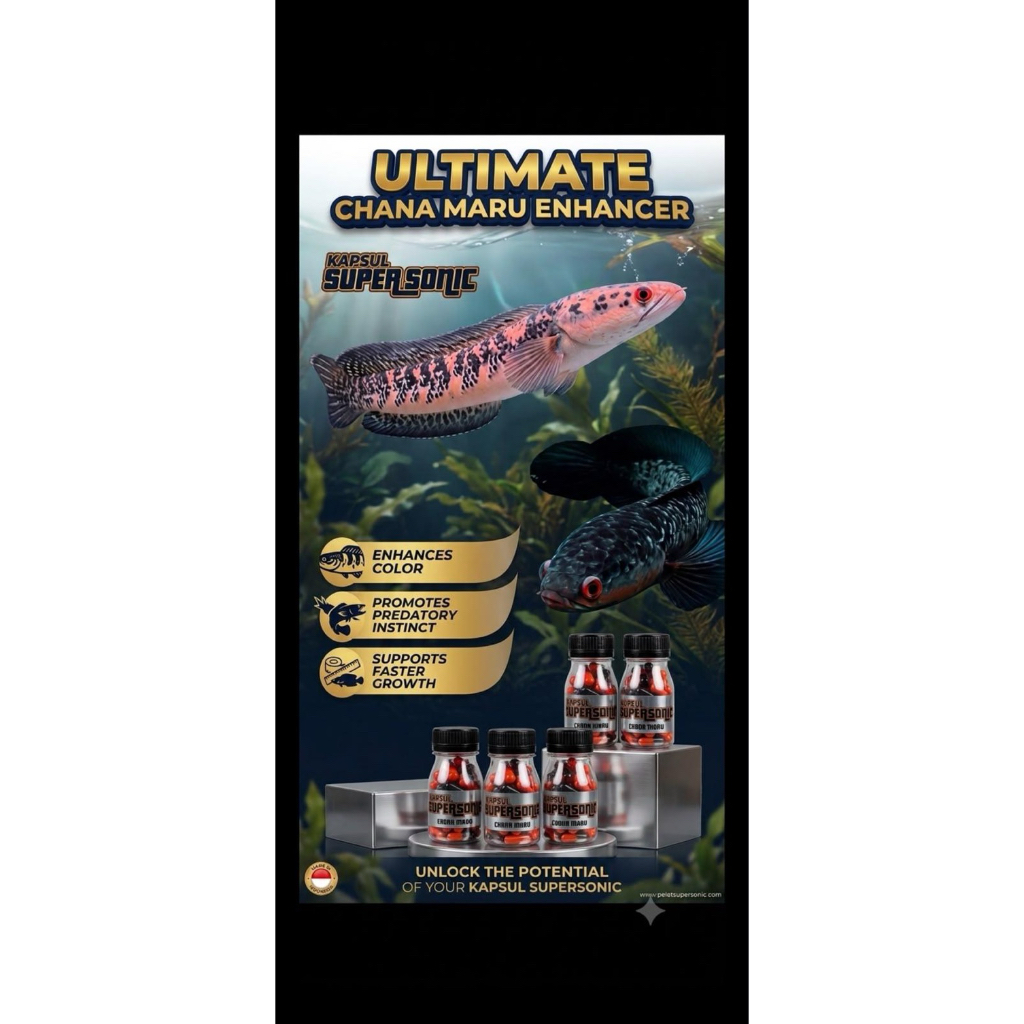 KAPSUL SUPER SONIC By ONEFISH adalah pengganti pakan hidup dengan nutrisi lengkap untuk ikan channa 