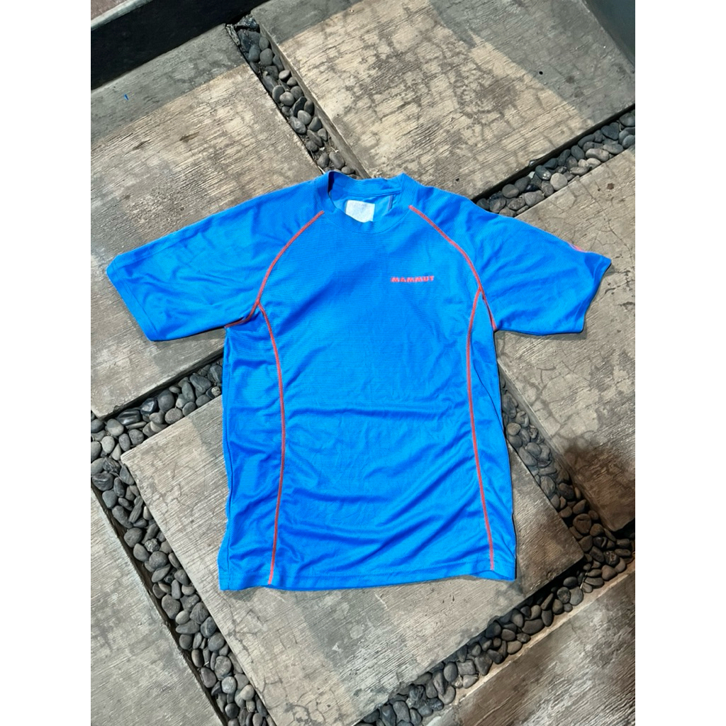 BASELAYER MAMMUT