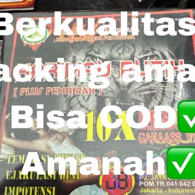 miniatur harimau putih asli