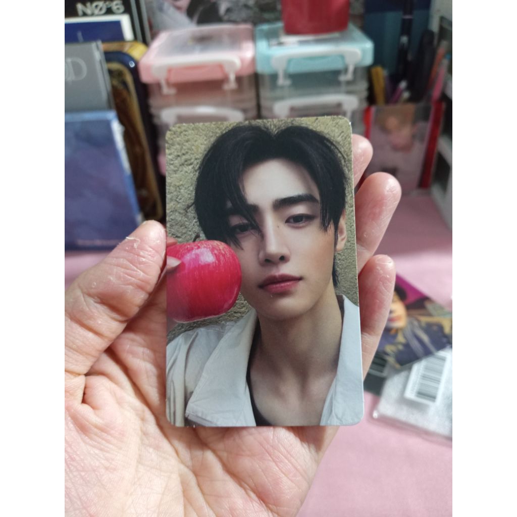 PHOTOCARD ENHYPEN OFFICIAL SUNGHOON THE SIN VANISH FUGITIVES APEL