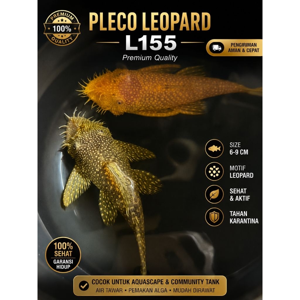 Pleco Leopard L166/Hiasan Pembersih