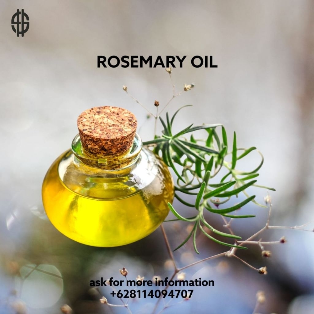 Rosemary Oil Rosemary Extract Rosemary Hydrosol