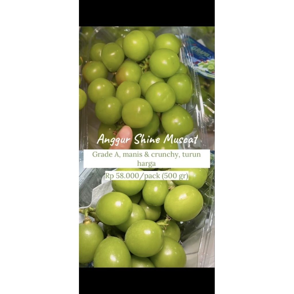 Pre Order "Buah Premium Pasar Induk" (PO Buah Premium Pasar Induk) - Anggur Shine Muscat
