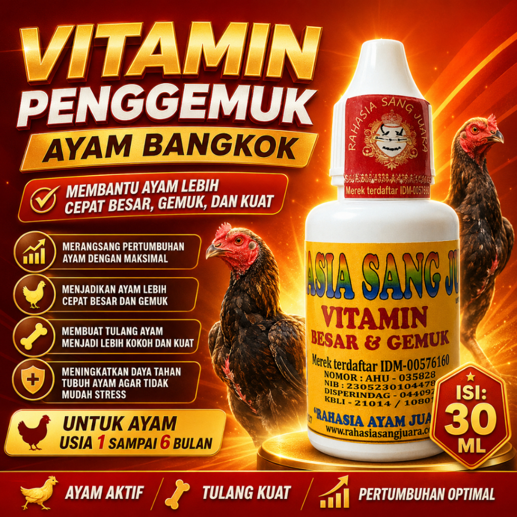 PENGGEMUK AYAM BANGKOK OBAT PENGGEMUK AYAM CEPAT BESAR DAN GEMUK UMUR 1 BULAN SAMPAI 6 BULAN