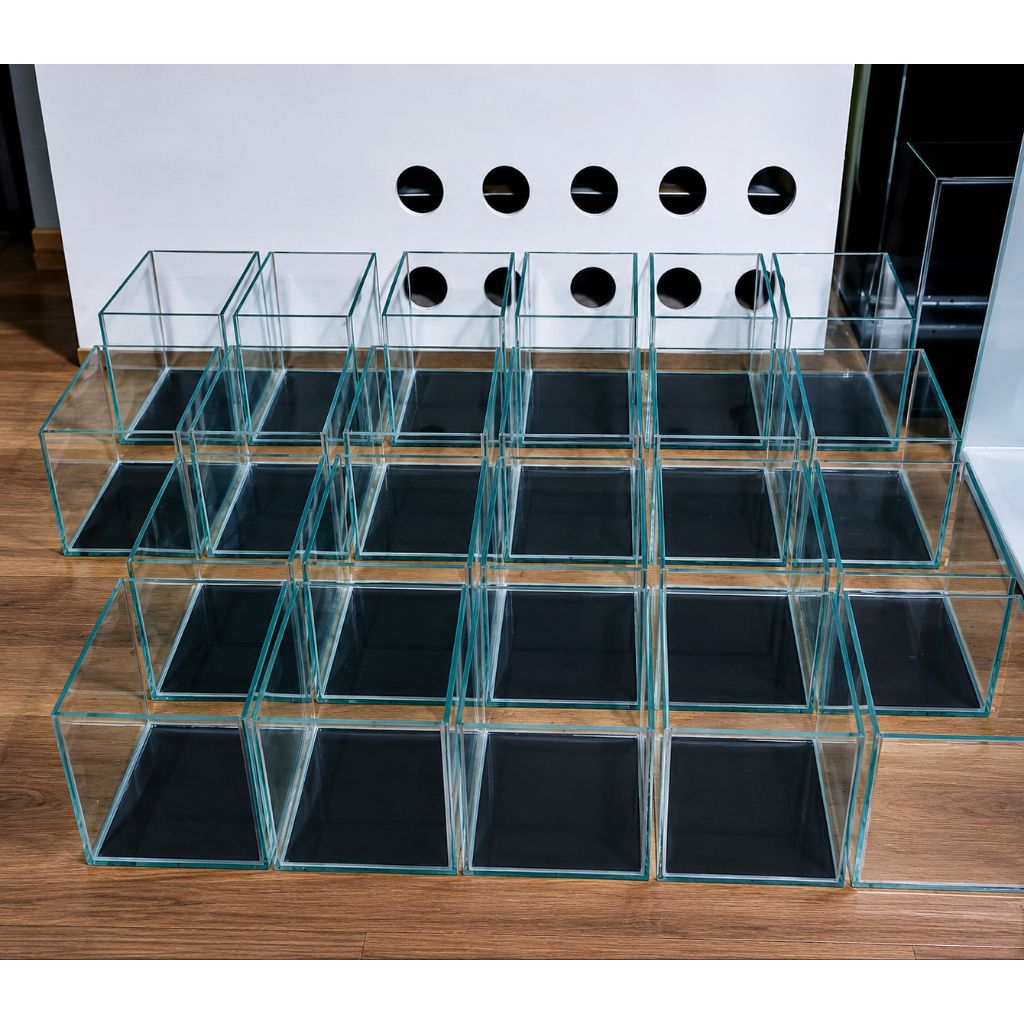 Aquarium 20 cm persegi
