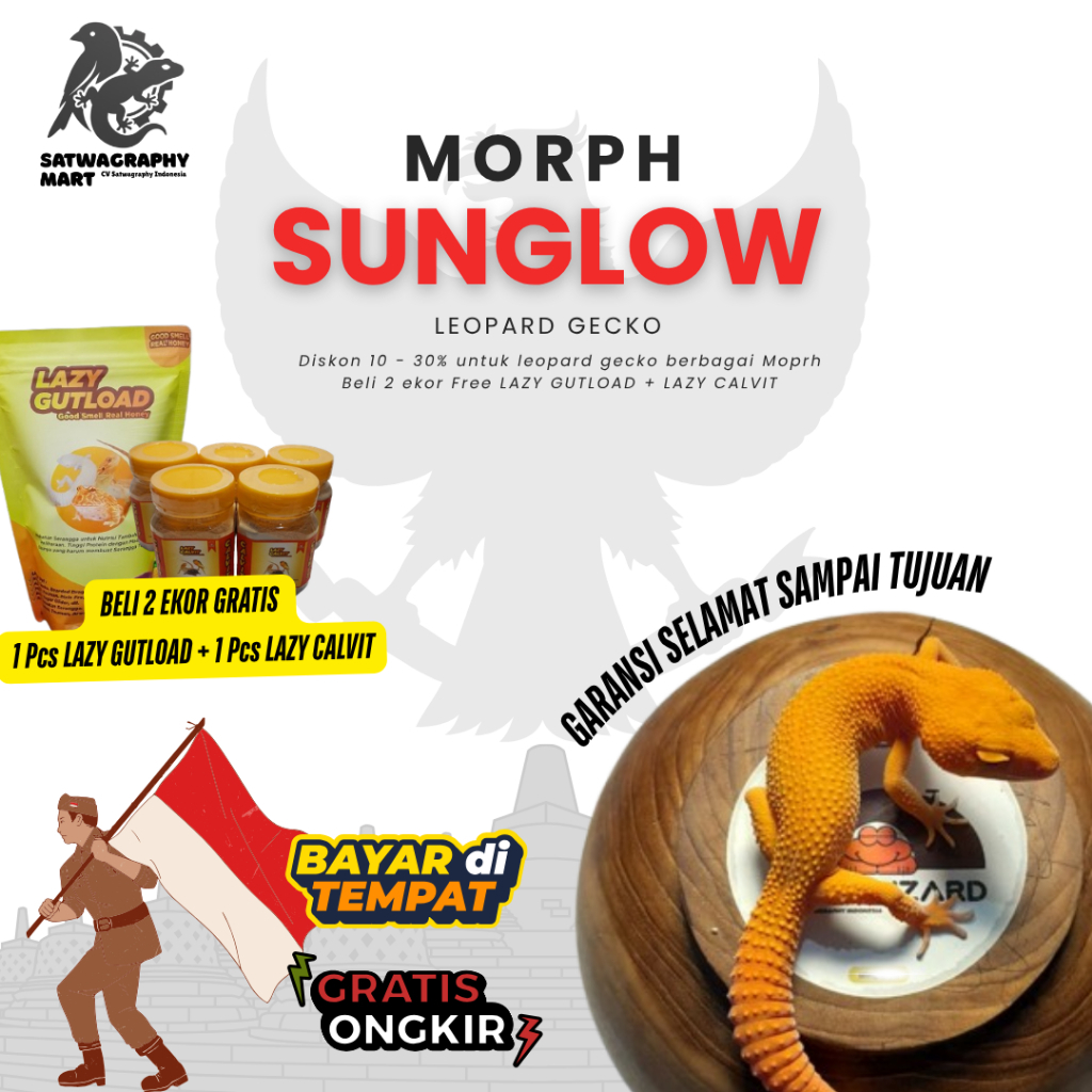 Mainan Anak GECKO Warna SUNGLOW SUNSPOT GLOW RAPTOR