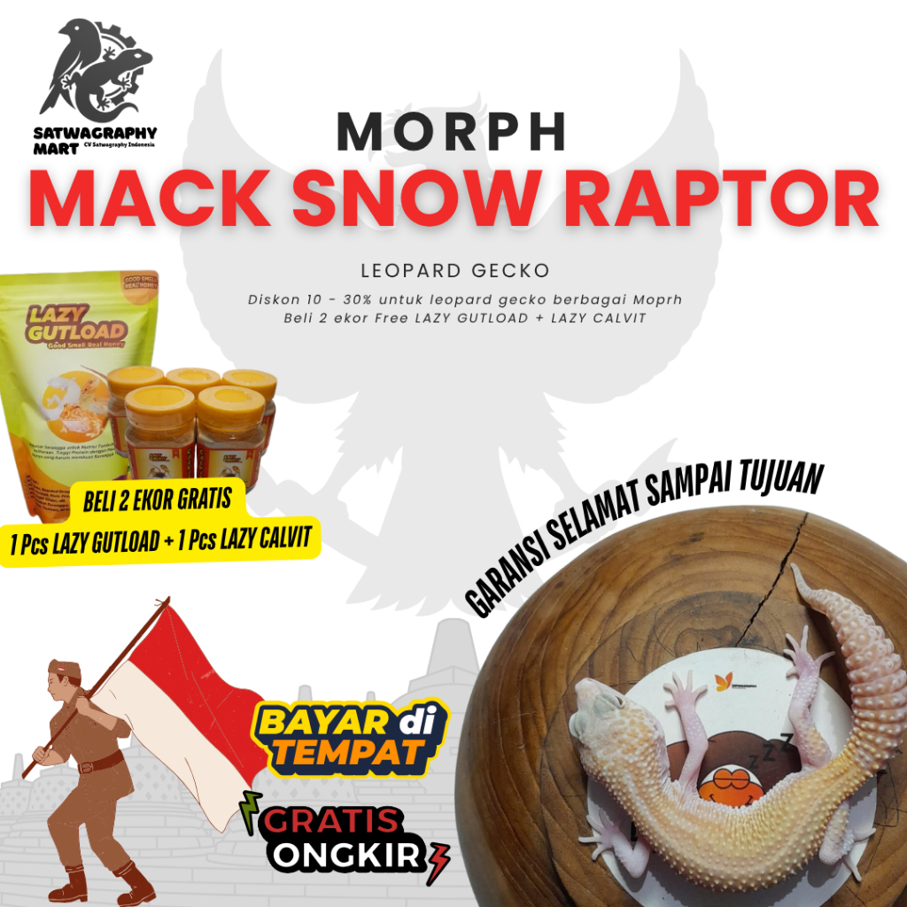 Mainan Anak GECKO Warna MSR Mack Snow Raptor