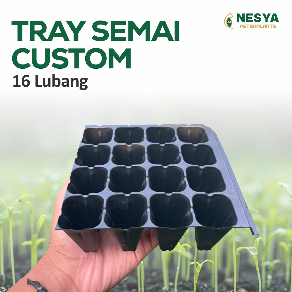 Tray Semai Trai Semai Custom 16 Lubang - Potray Custom