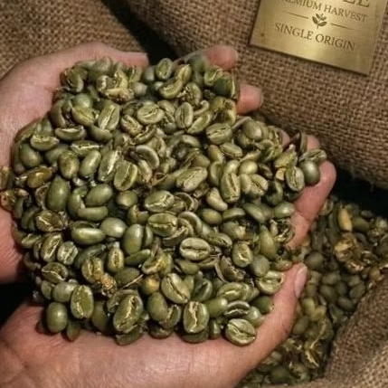 GREEN BEAN 100% ARABICA/ROBUSTA ( NATURAL,FULLWASH,SEMIWASH TORAJA ENREKANG