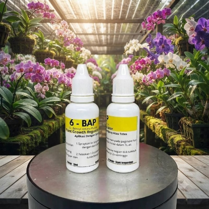 Hormon Tunas & Bunga Anggrek 6 BAP Kuning 30ml - Perangsang Tunas Baru & Pembungaan Anggrek