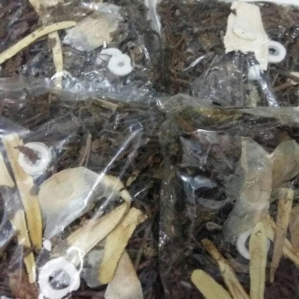 LIANG TEH / LIANGTEH MINUMAN PANAS DALAM
