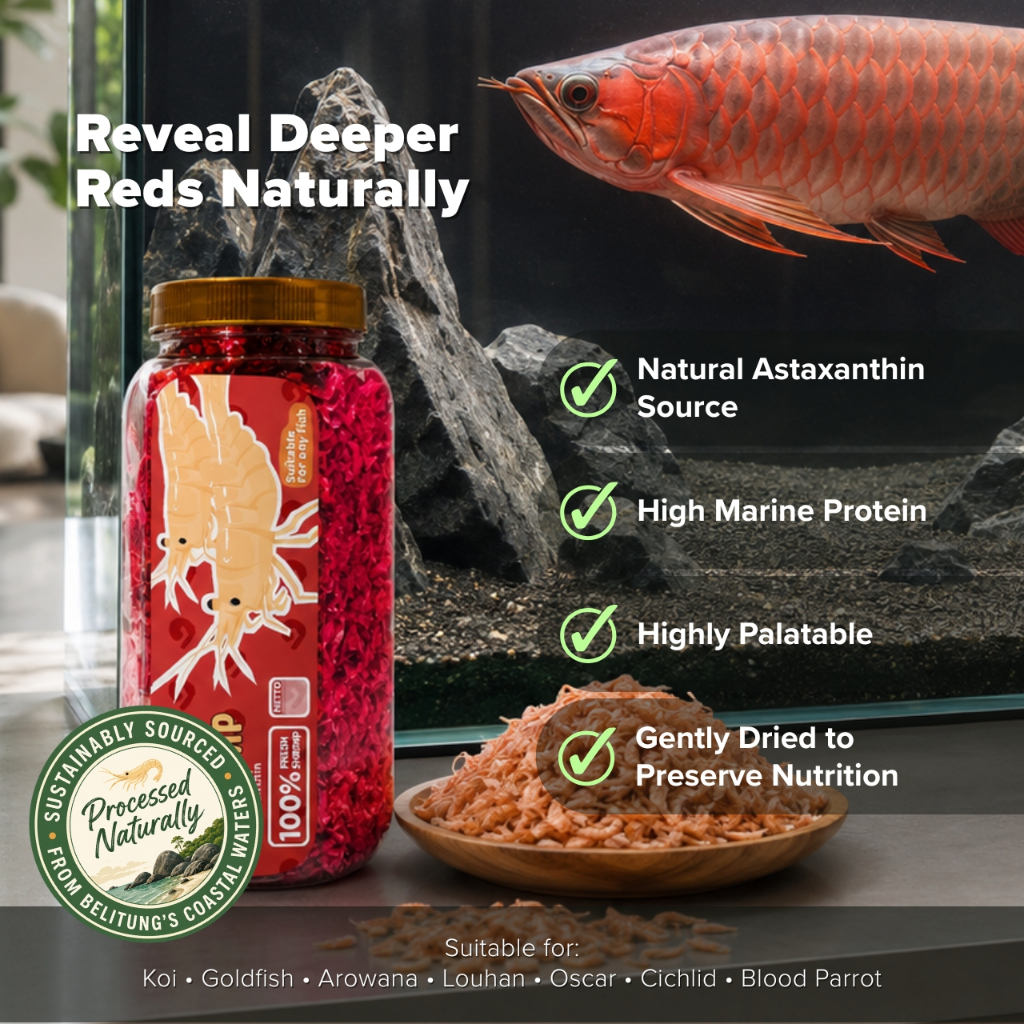 Pelet Makanan Ikan Naikan Warna Merah Cupang Channa Arwana Baby Shrimp - Big 120 gr