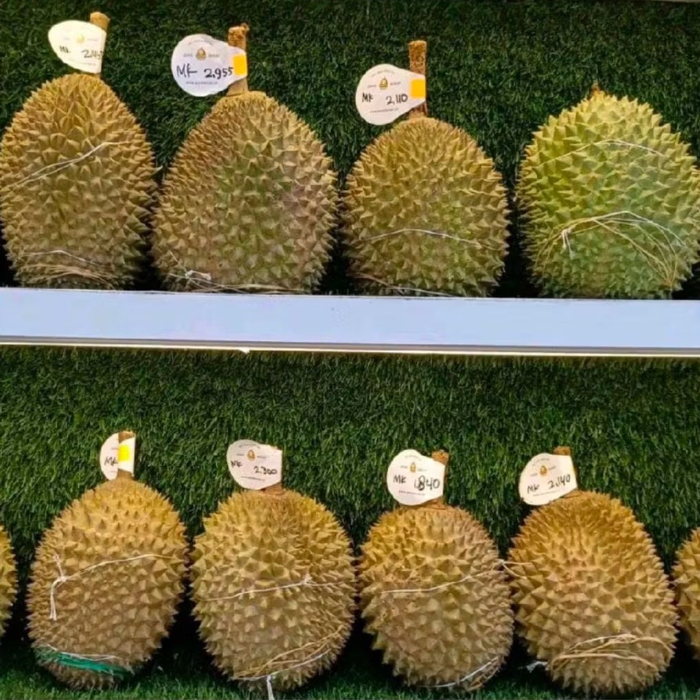 Durian Musang King Malaysia utuh super fresh premium-+2kg
