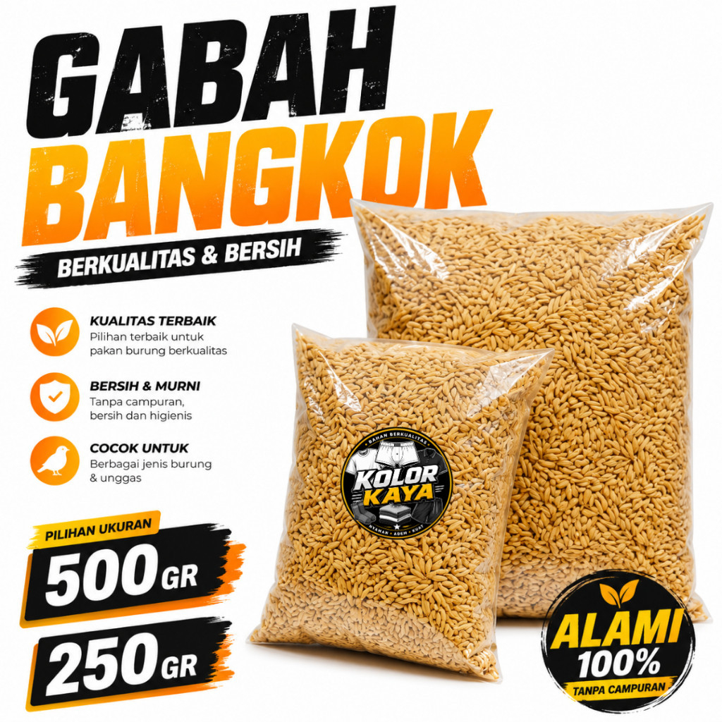 GABAH BANGKOK 500 GRAM GABAH PADI LAMPUNG MAKANAN BURUNG AYAM LOVEBIRD PERKUTUT MERPATI DERKUKU