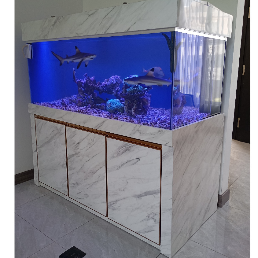 Aquarium 150cm Full Paket Arwana (kaca 12mm)