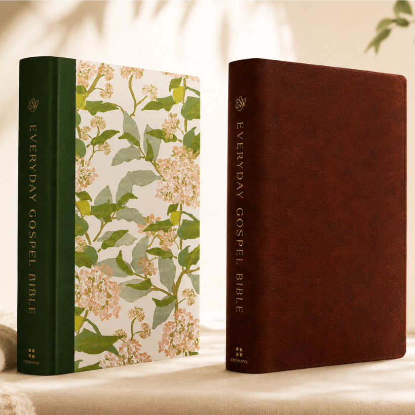 ESV Everyday Gospel Bible: Connecting Scripture to All of Life | Holy Bible